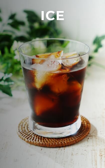 ICE